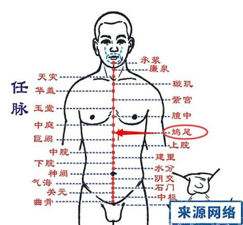 鳩尾穴位置|鳩尾穴